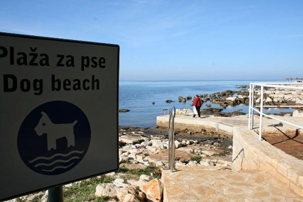 Apartment Porec Anita Εξωτερικό φωτογραφία